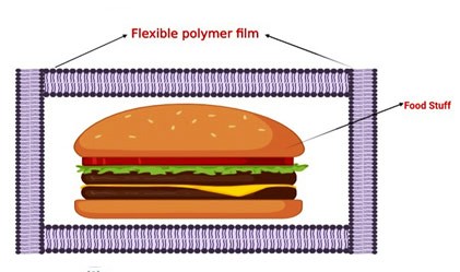Photographic image of DNA double helix