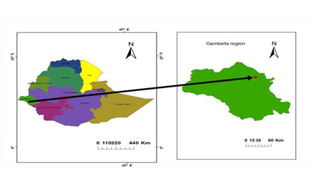 Performance Evaluation of Gambella Town Water Treatment Plant