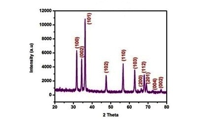 Photographic image of DNA double helix
