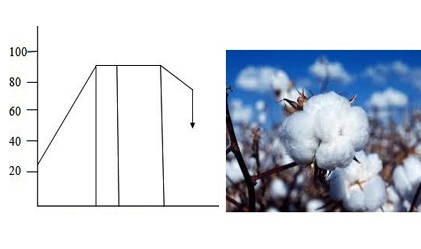 Chemical Modification Treatments on Extra-Long Egyptian Cotton Fiber