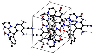 Photographic image of DNA double helix