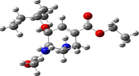 Photographic image of DNA double helix