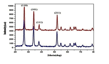 Photographic image of DNA double helix