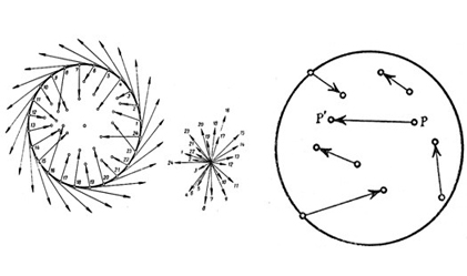 Brauer’s Fixed Point Theorem
