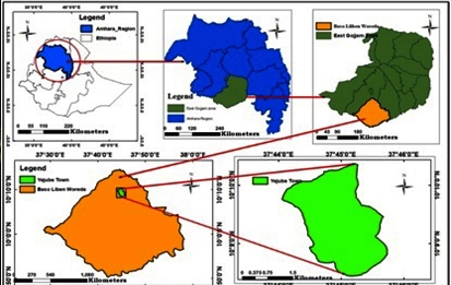 Analysis of Current and Future Water Demand Scenario in Yejube Town, Ethiopia