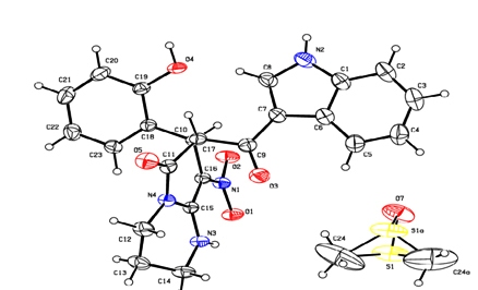 Photographic image of DNA double helix