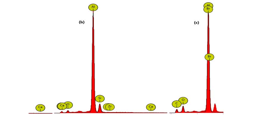 Photographic image of DNA double helix