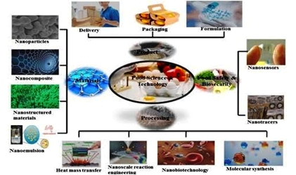 Nanotechnology and Their Applications in Science and Technology - Review