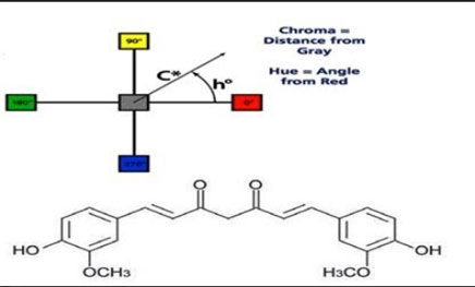 Effect of Natural Mordant on Dyeing Process of Some Egyptian Cotton Fabrics using Natural Dye