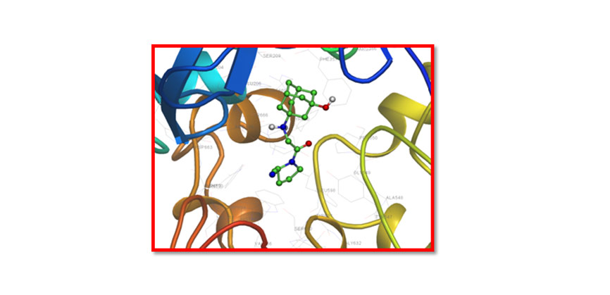 Molecular Structure and Spectroscopic Characterization of Gliptus with Molecular Docking and DFT Quantum Chemical Calculations