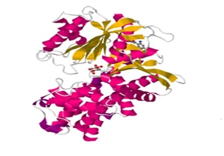 Identification of Anti-Diabetic Phytocompounds from Ficus racemosa and its Validation through In Silico Molecular Modeling
