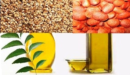 A Comparison of Physico-Chemical Properties of Neem and Karanja Oil Methyl Esters