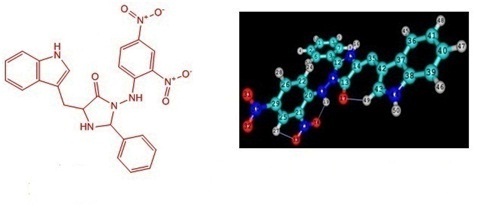 Photographic image of DNA double helix