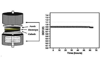 Synthesis and Characterization of Proton Conducting Polymer Electrolytes based on Poly (N-vinyl pyrrolidone) and Polyvinylchloride